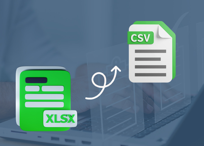 'Convert XLSX to CSV'